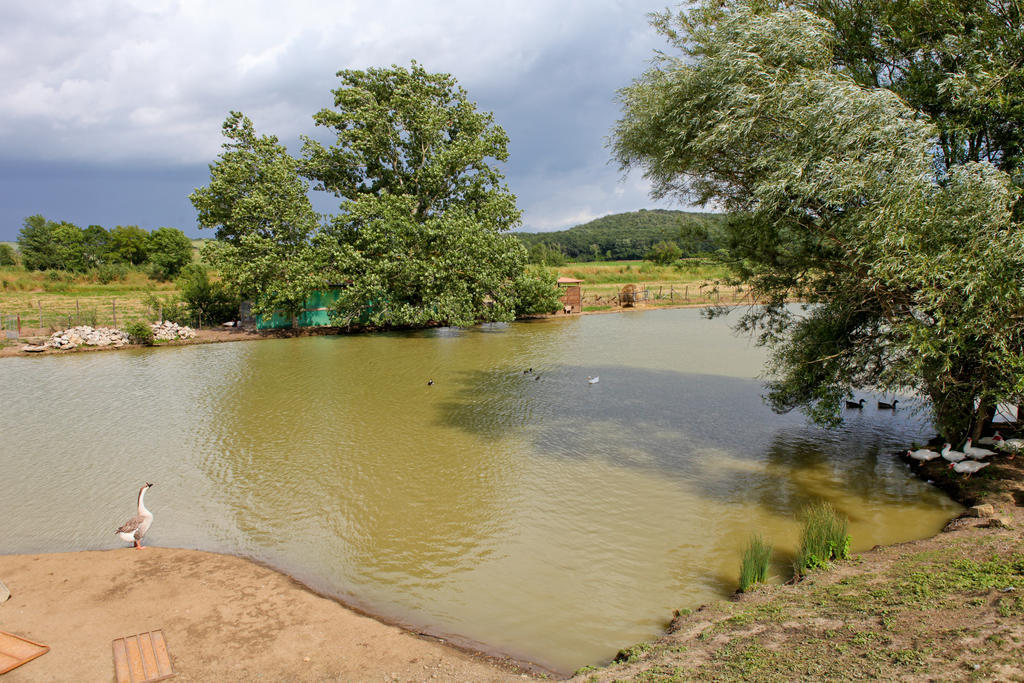 Agriturismo Da Lorena Marsiliana Exteriér fotografie