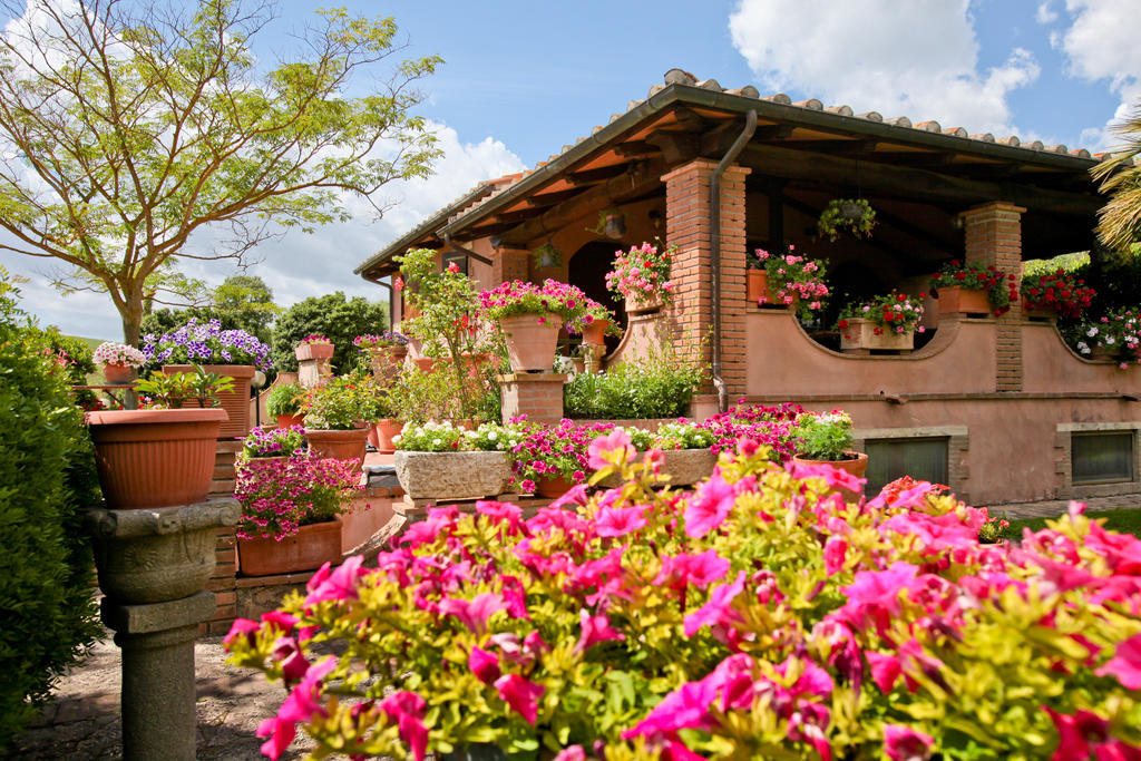 Agriturismo Da Lorena Marsiliana Exteriér fotografie